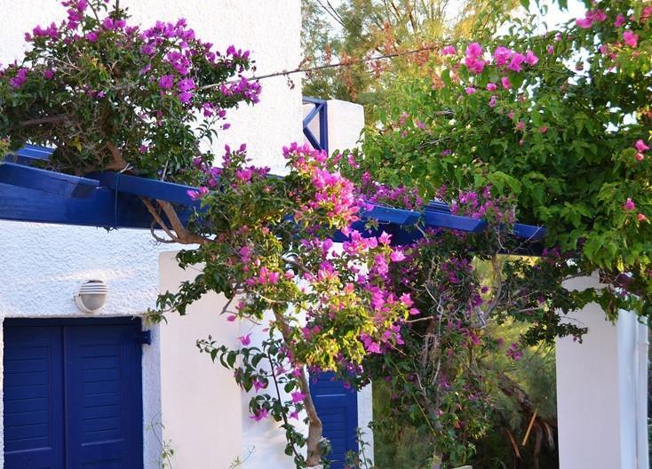 Syros Galissas